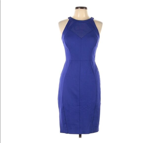 Ted Baker London Blue Midi Dress - Picture 3 of 16